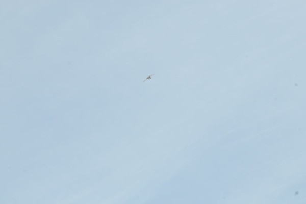 Airplane pics from the Temple Texas Airshow 2007