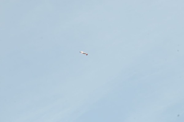 Airplane pics from the Temple Texas Airshow 2007